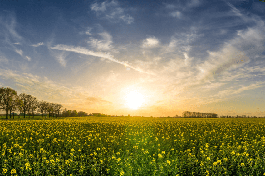 Significado del equinoccio de primavera